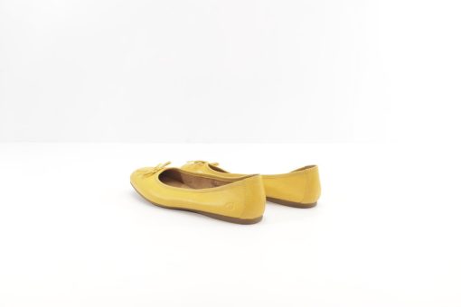 Zapatos De Dama - Imagen 2